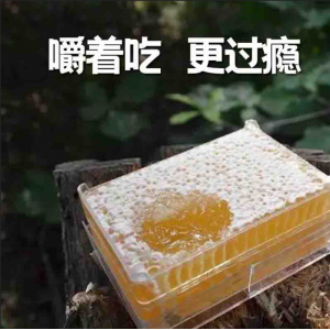 天水蜂巢蜜0.5kg/盒
